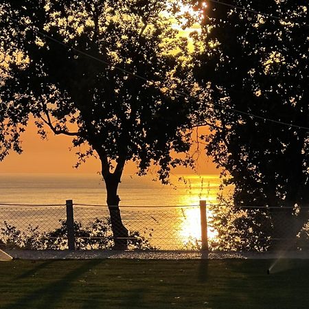 Relais Il Giardino Fra Gli Ulivi Villa โทริโนดิซานโกร ภายนอก รูปภาพ