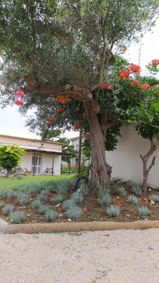Relais Il Giardino Fra Gli Ulivi Villa โทริโนดิซานโกร ภายนอก รูปภาพ