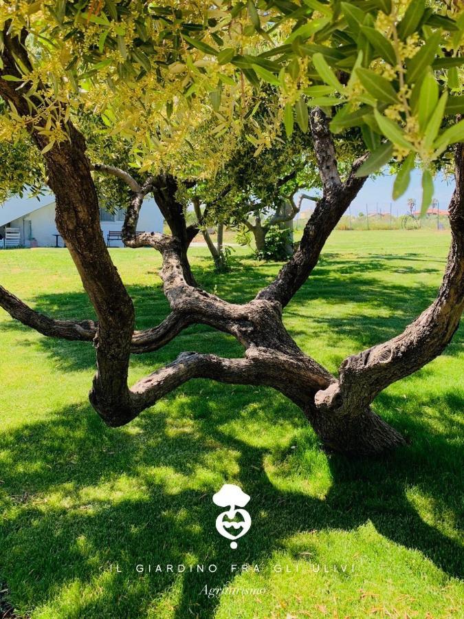 Relais Il Giardino Fra Gli Ulivi Villa โทริโนดิซานโกร ภายนอก รูปภาพ