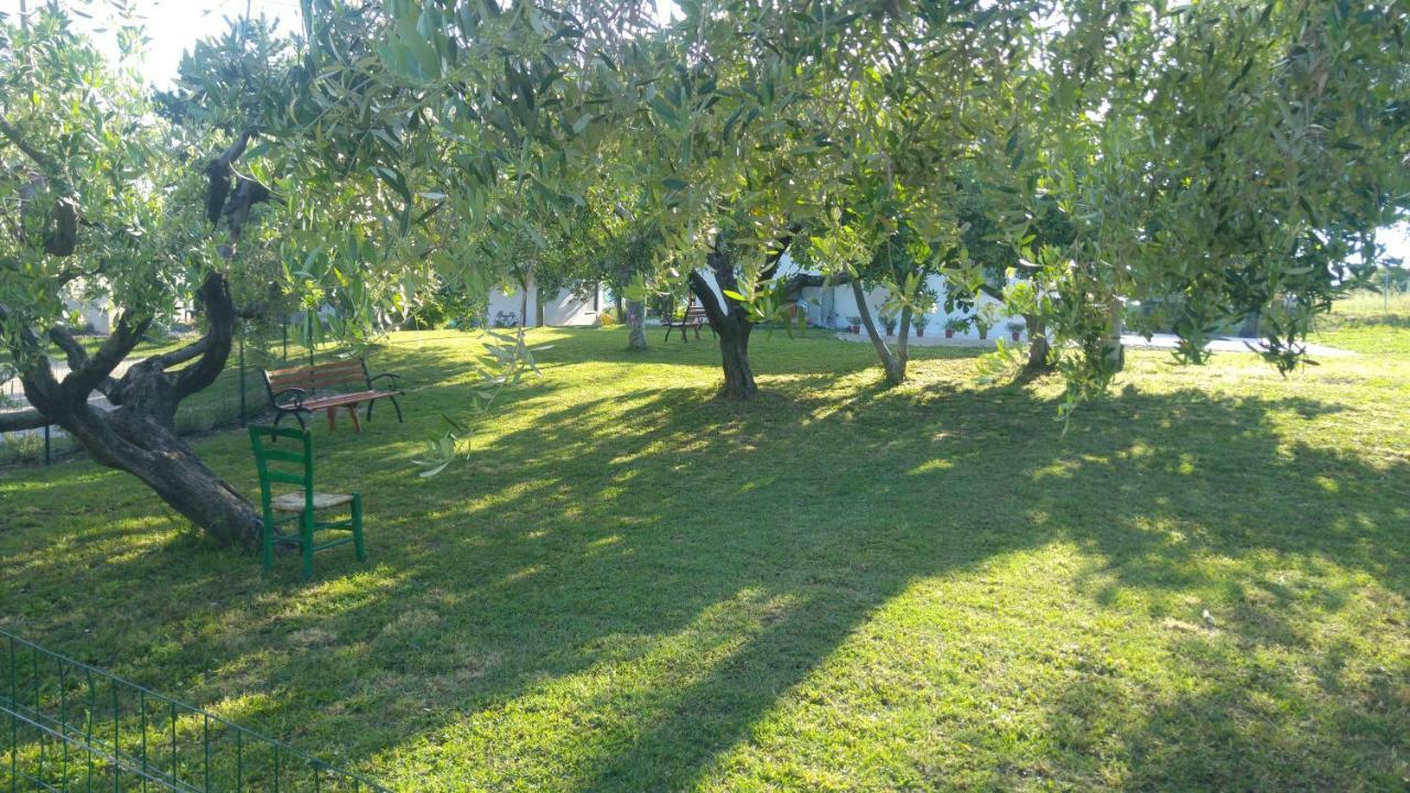Relais Il Giardino Fra Gli Ulivi Villa โทริโนดิซานโกร ภายนอก รูปภาพ