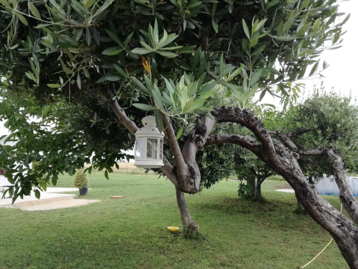 Relais Il Giardino Fra Gli Ulivi Villa โทริโนดิซานโกร ภายนอก รูปภาพ